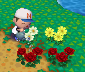 flowers in Animal Crossing