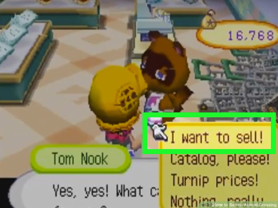 selling stuff to Tom Nook